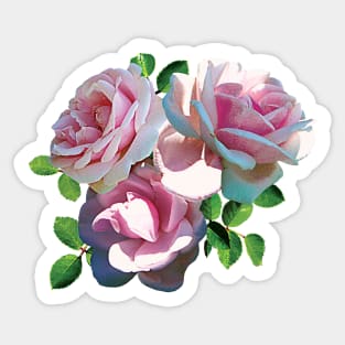 Roses - Light Pink Rose Heart Sticker